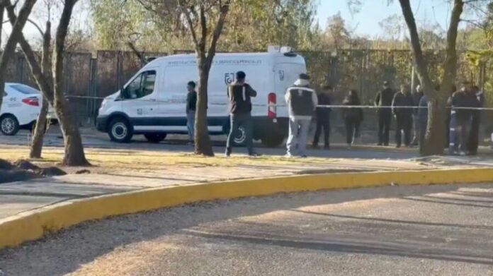 Hallan a hombre sin vida en Ciudad Universitaria de la UNAM en CDMX