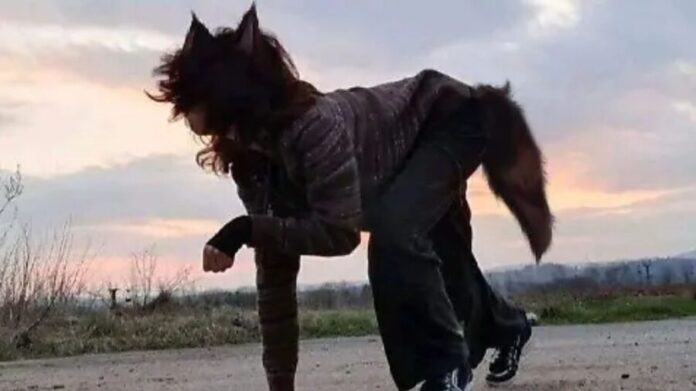 Prohíben en Costa Rica que veterinarios atiendan a 