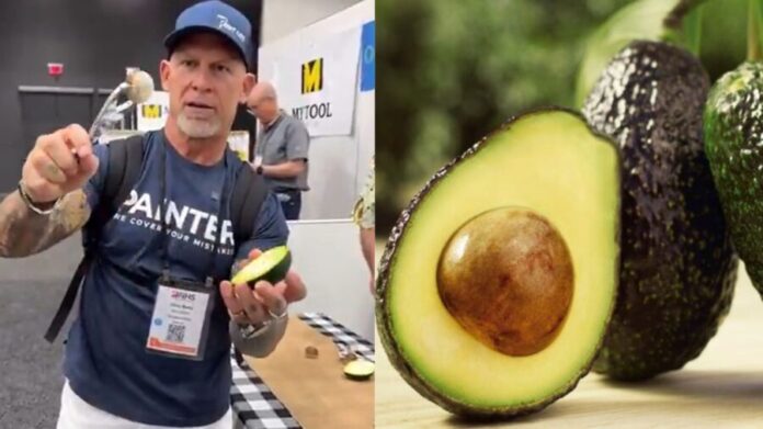 Video: Crean herramienta para sacar el hueso del aguacate en Estados Unidos