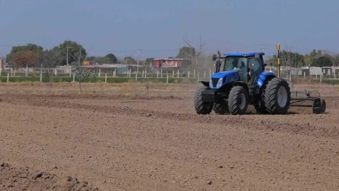 Convocan misa y procesión para implorar lluvias ante la emergencia agrícola en Tamaulipas