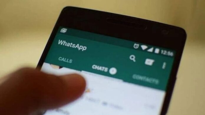 Acusan a activista de violencia política de género contra diputada de Morena por un chat de WhatsApp en Sinaloa