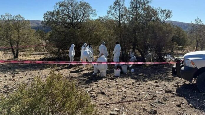 Confirman 91 cuerpos hallados en fosa clandestina en Nuevo Casas Grandes, Chihuahua