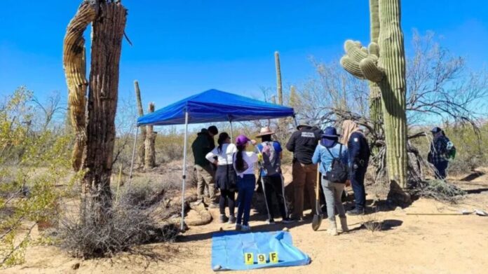Activistas hallan panteón clandestino con 15 fosas y 19 posibles víctimas en Puerto Peñasco, Sonora
