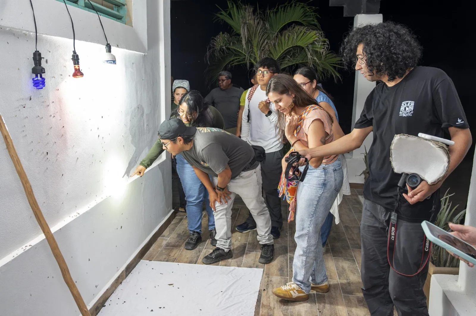 Asistentes observan una trampa de luz para monitoreo de insectos durante Bichos Night en Cozumel